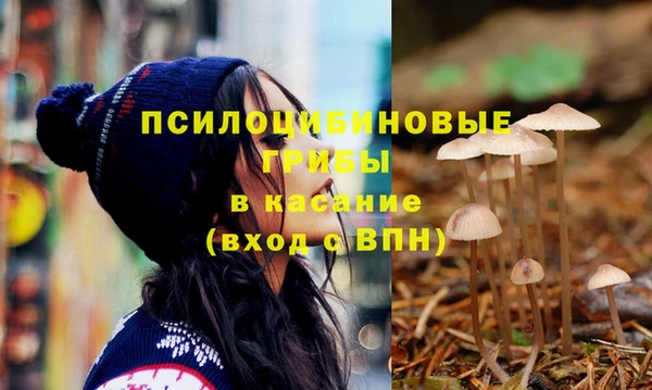 прущие грибы Богданович