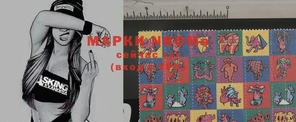 mdma Белокуриха